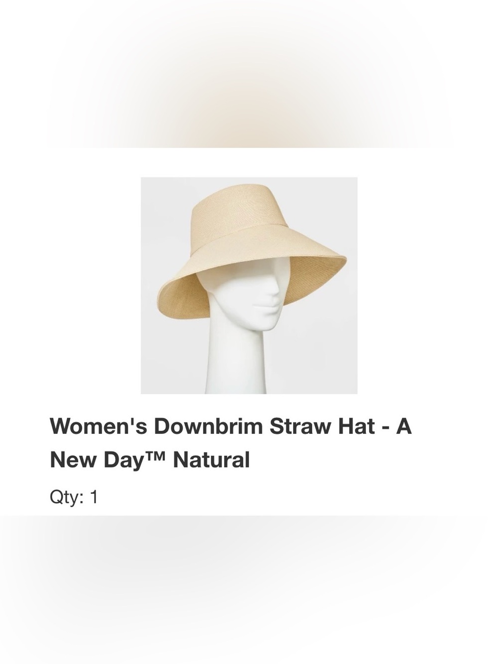 NWT! Target A New Day Women's Downbrim Straw Hat - Natural - One Size